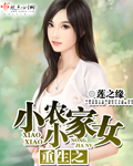 重生之小小农家女