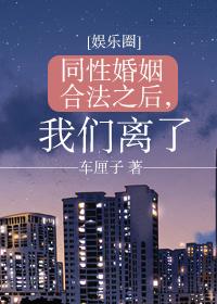 同性婚姻合法之后，我们离了[娱乐圈]